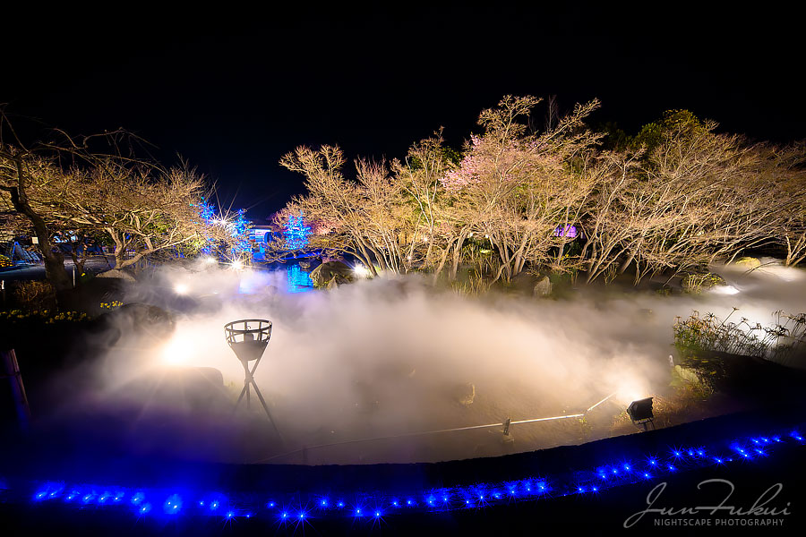 ななばの里 イルミネーション