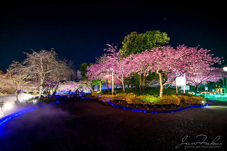 ななばの里 イルミネーション