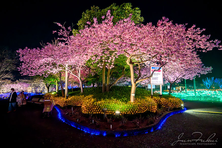 ななばの里 イルミネーション