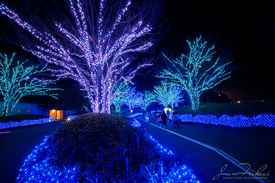 ななばの里 イルミネーション
