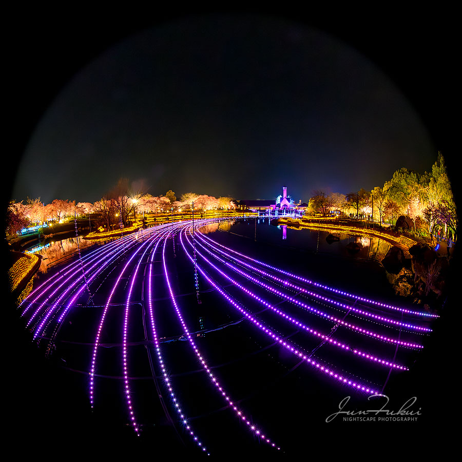 ななばの里 イルミネーション