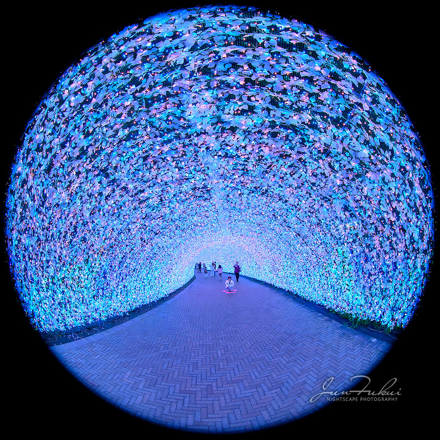 ななばの里 イルミネーション