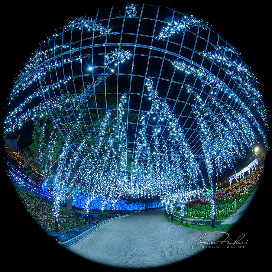 ななばの里 イルミネーション