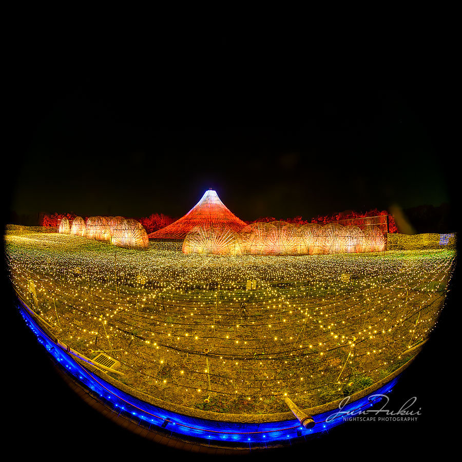 ななばの里 イルミネーション