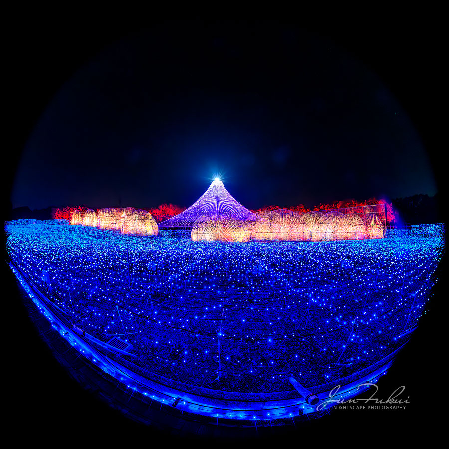 ななばの里 イルミネーション