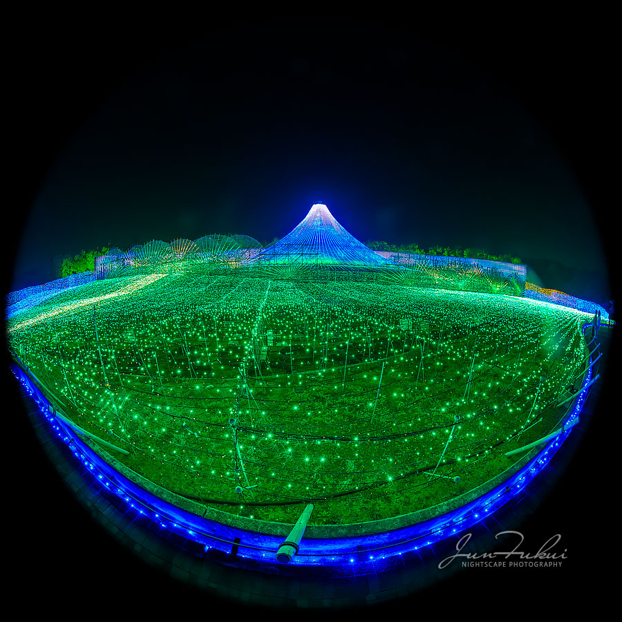 ななばの里 イルミネーション