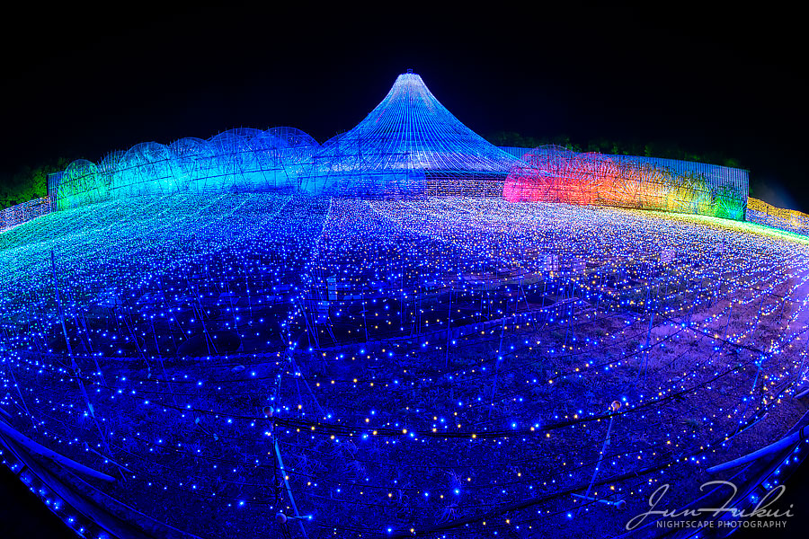 ななばの里 イルミネーション