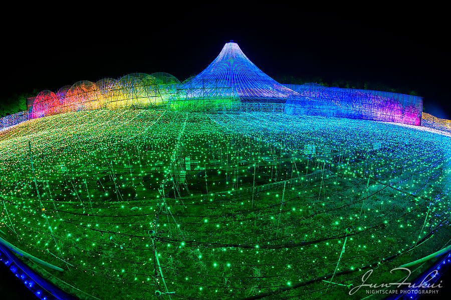 ななばの里 イルミネーション