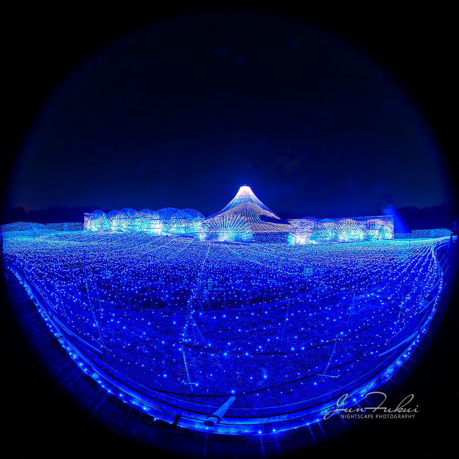 ななばの里 イルミネーション