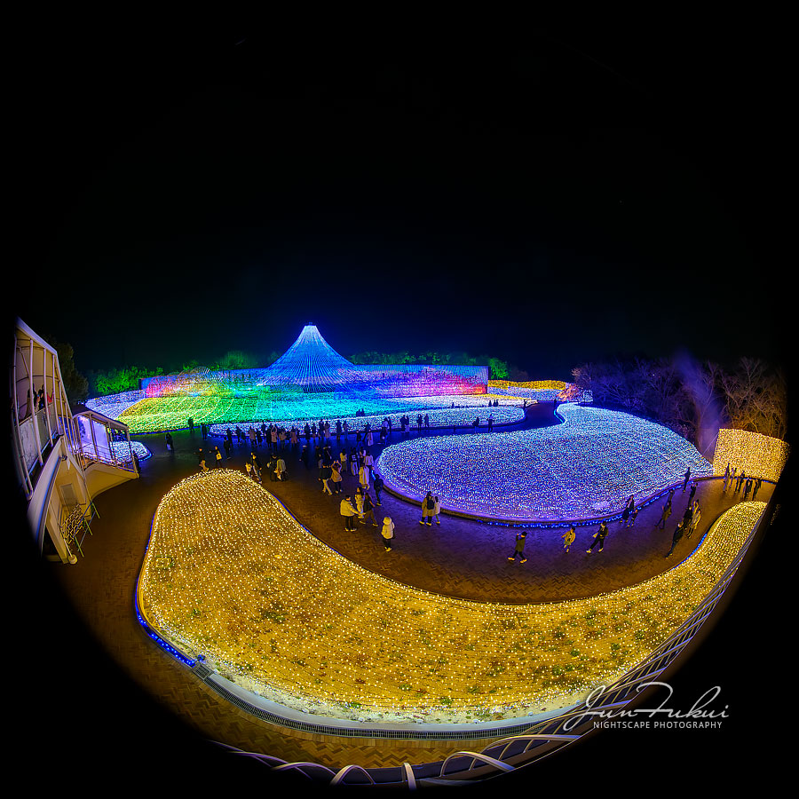 ななばの里 イルミネーション