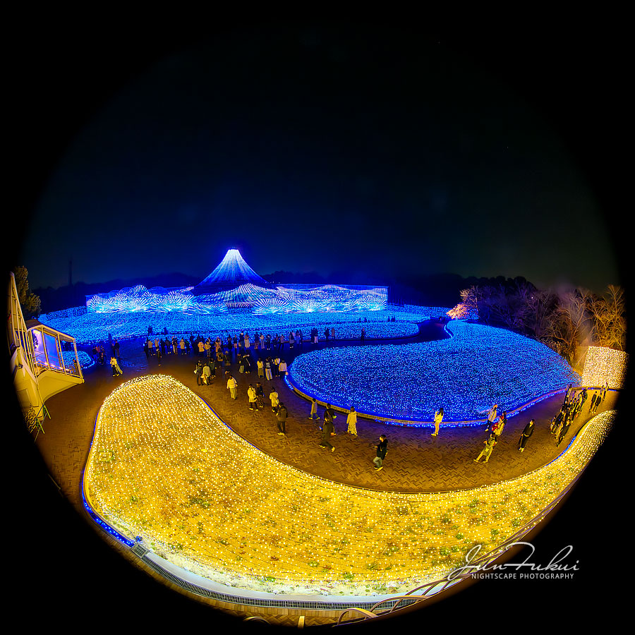 ななばの里 イルミネーション