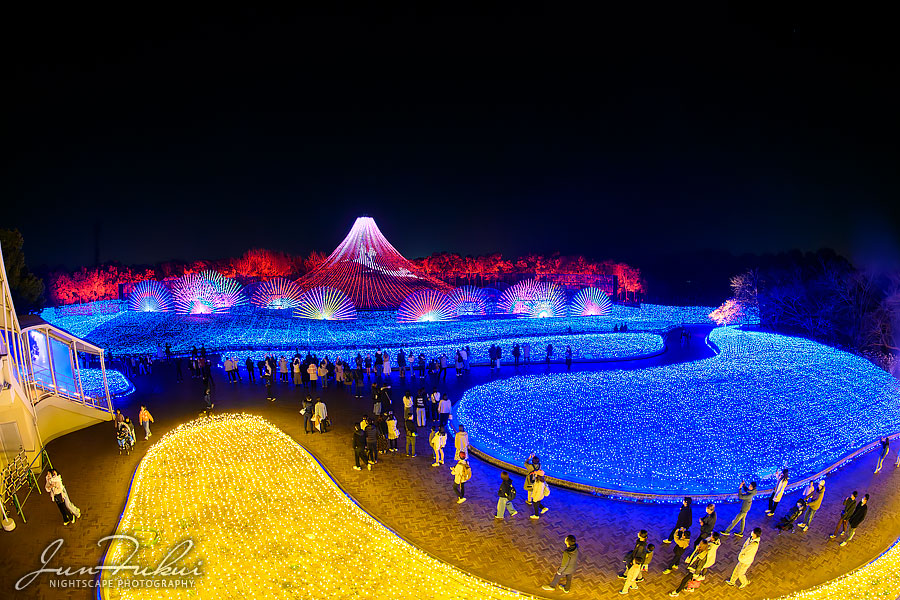 ななばの里 イルミネーション