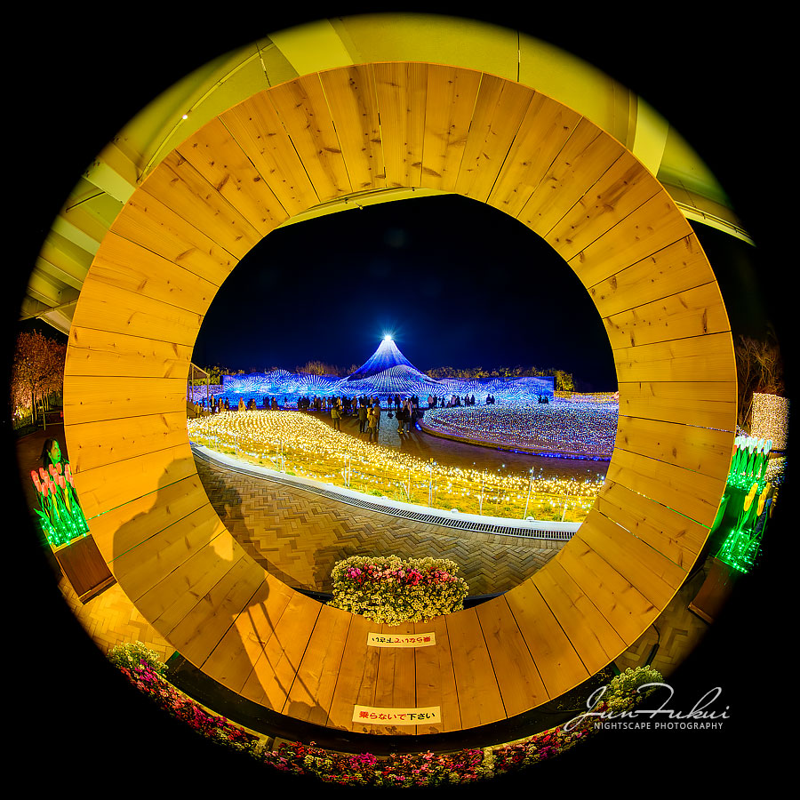 ななばの里 イルミネーション