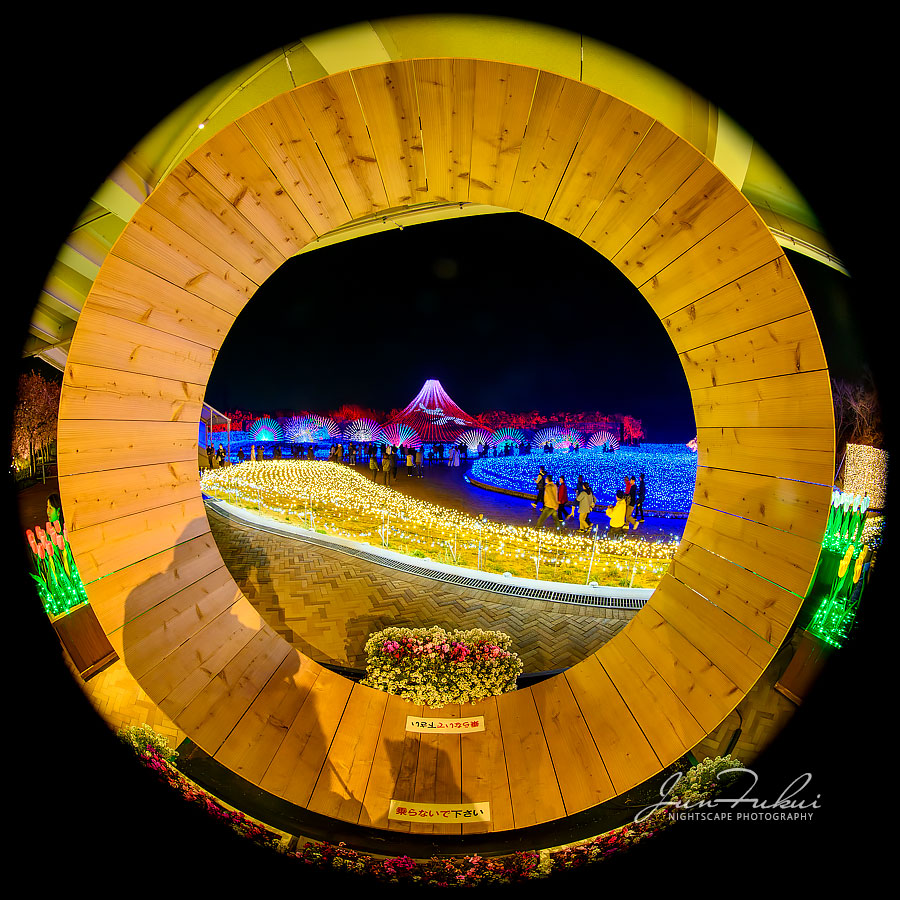 ななばの里 イルミネーション