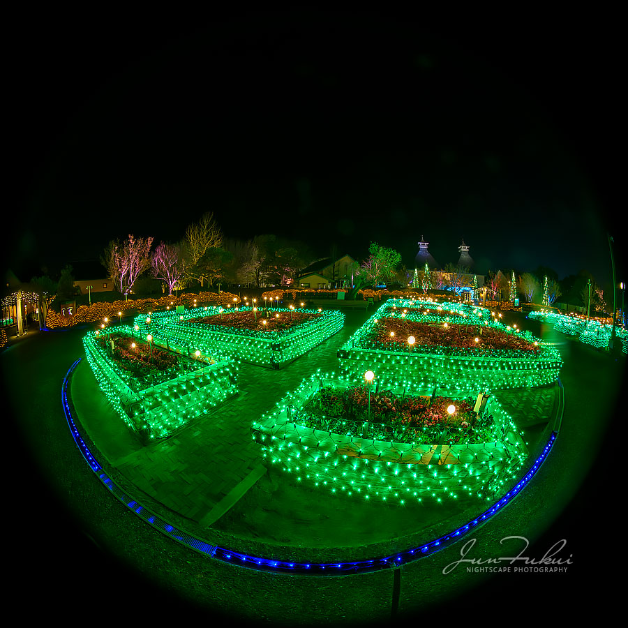 ななばの里 イルミネーション