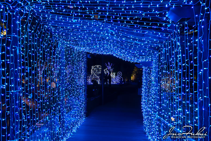 なんば光旅 イルミネーション