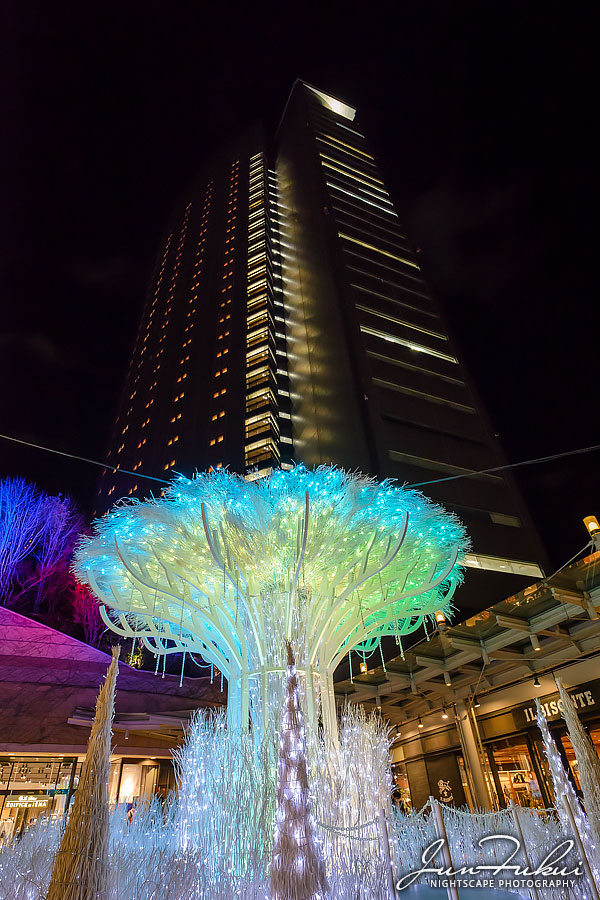 なんば光旅 イルミネーション