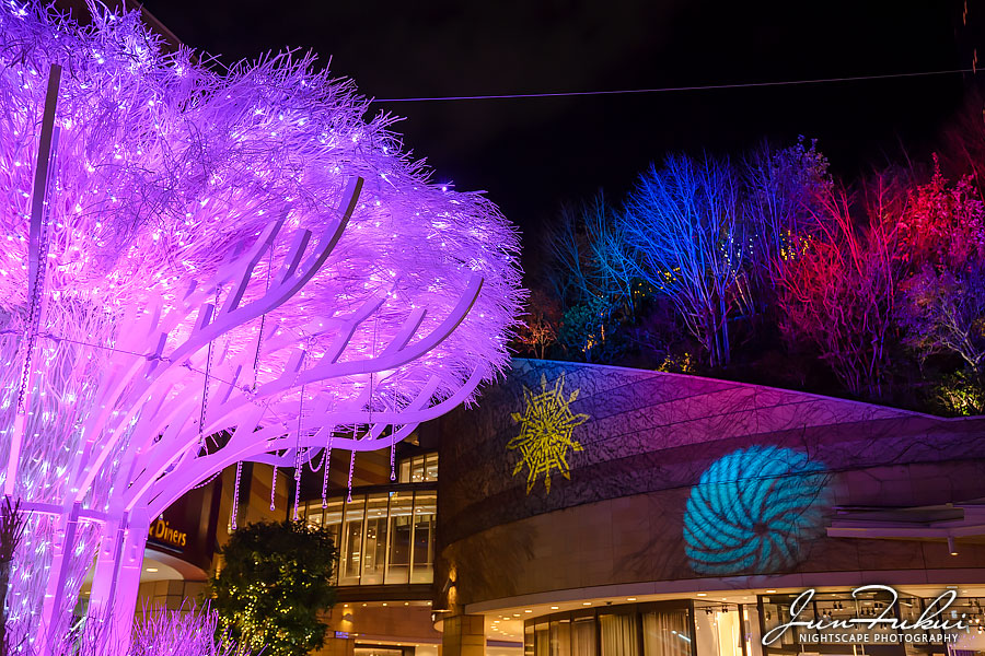 なんば光旅 イルミネーション