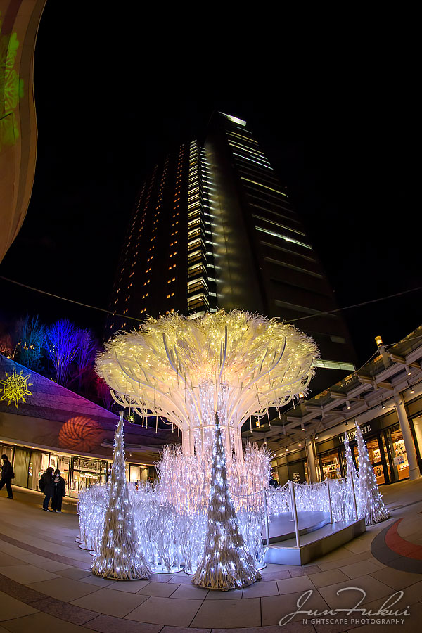 なんば光旅 イルミネーション