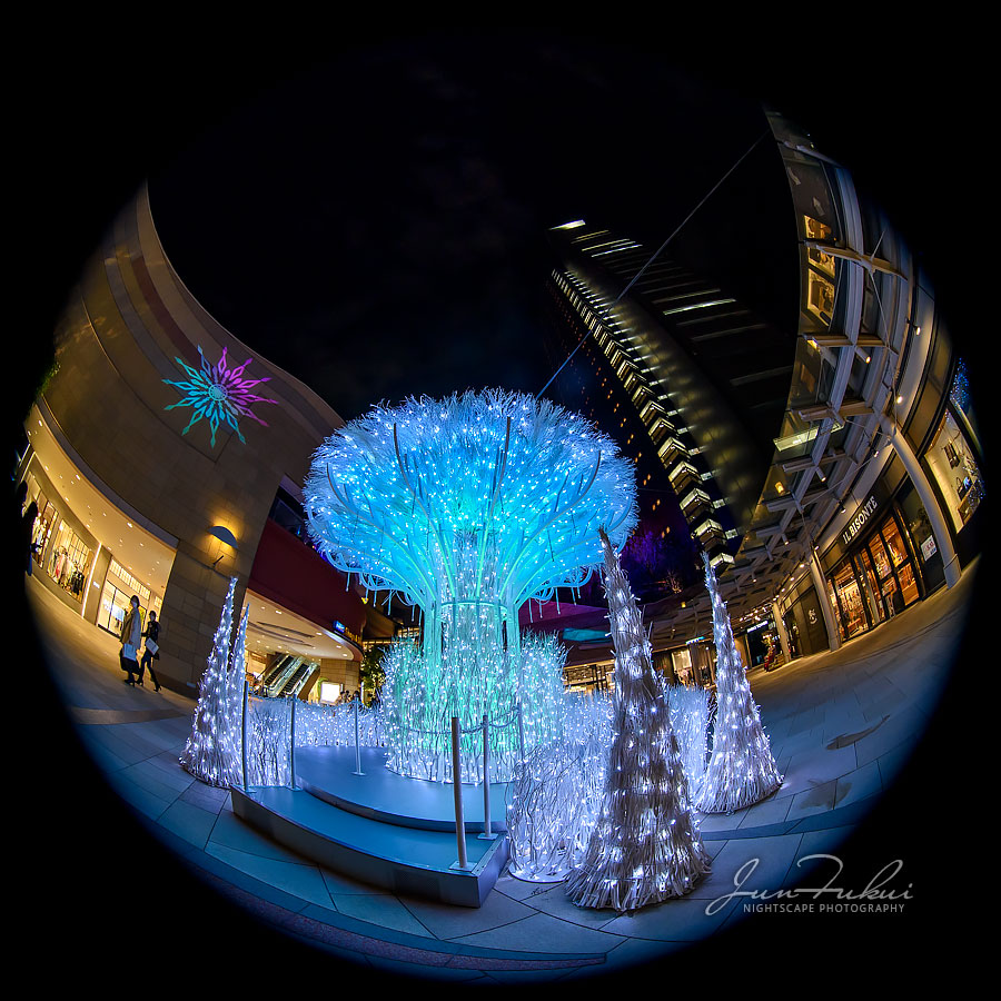 なんば光旅 イルミネーション