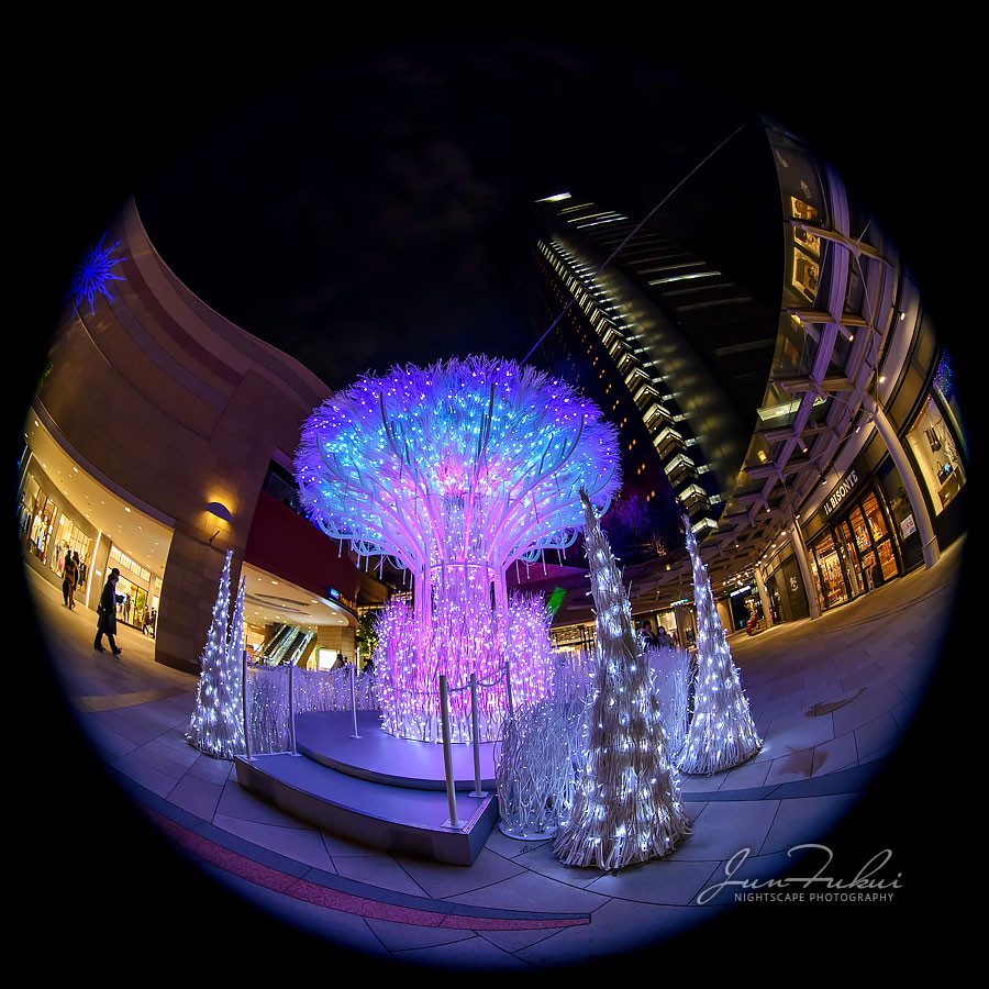 なんば光旅 イルミネーション