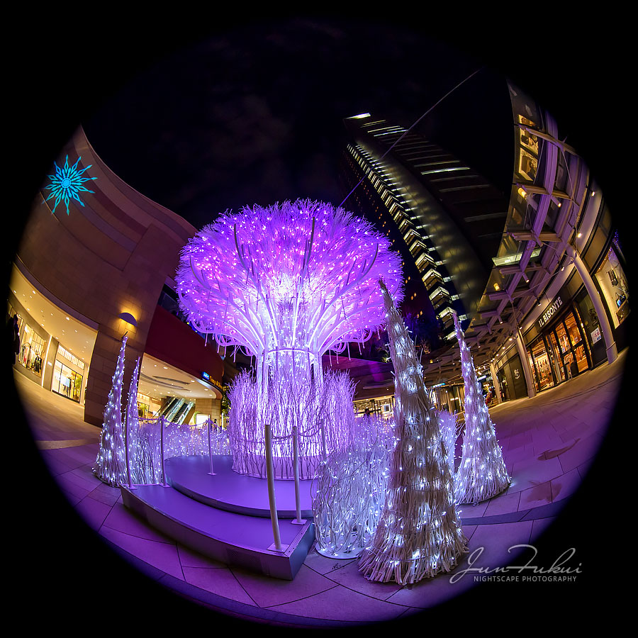 なんば光旅 イルミネーション