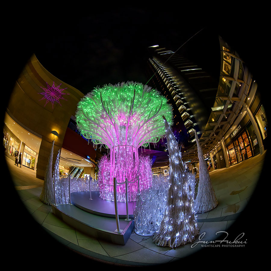 なんば光旅 イルミネーション