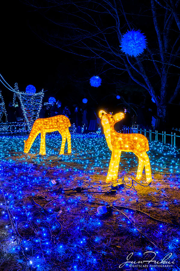 なら瑠璃絵 イルミネーション