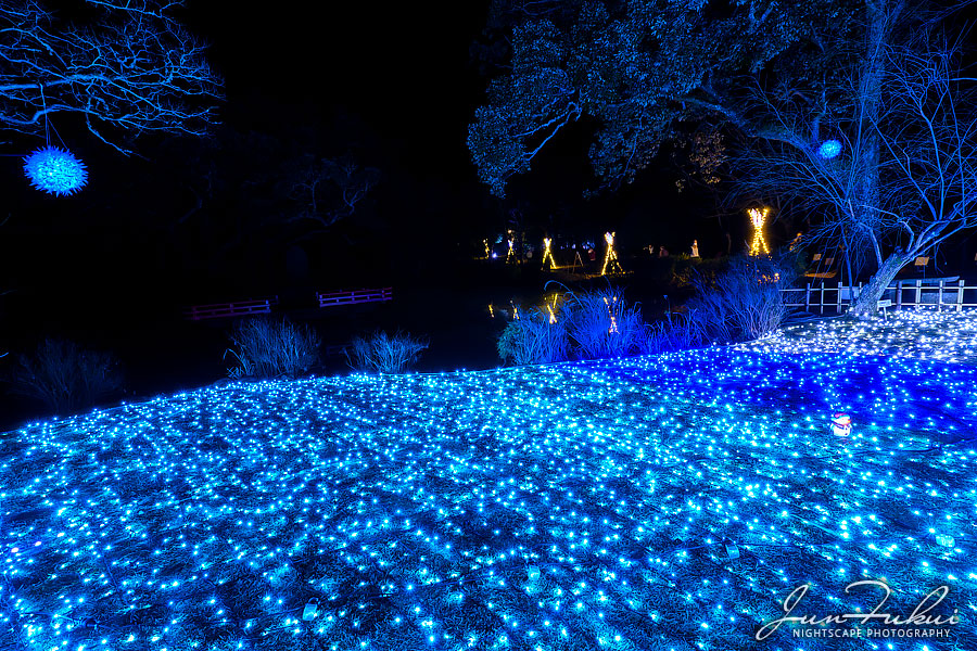 なら瑠璃絵 イルミネーション