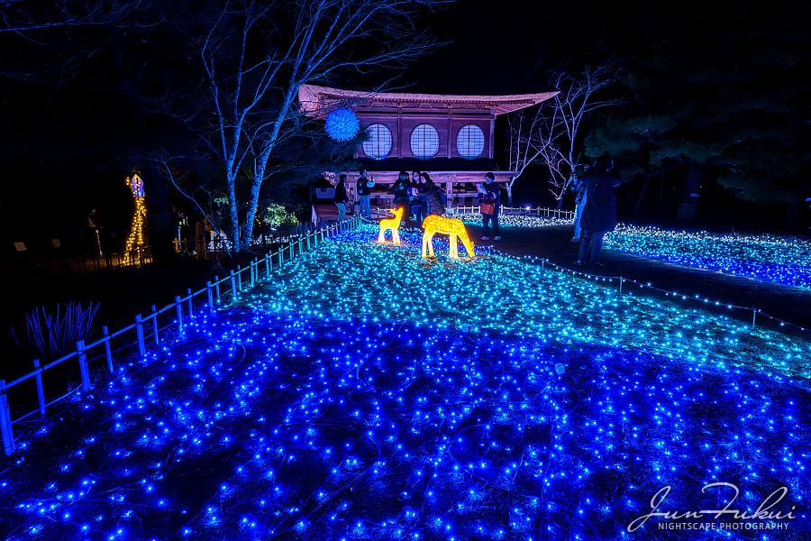 なら瑠璃絵 イルミネーション