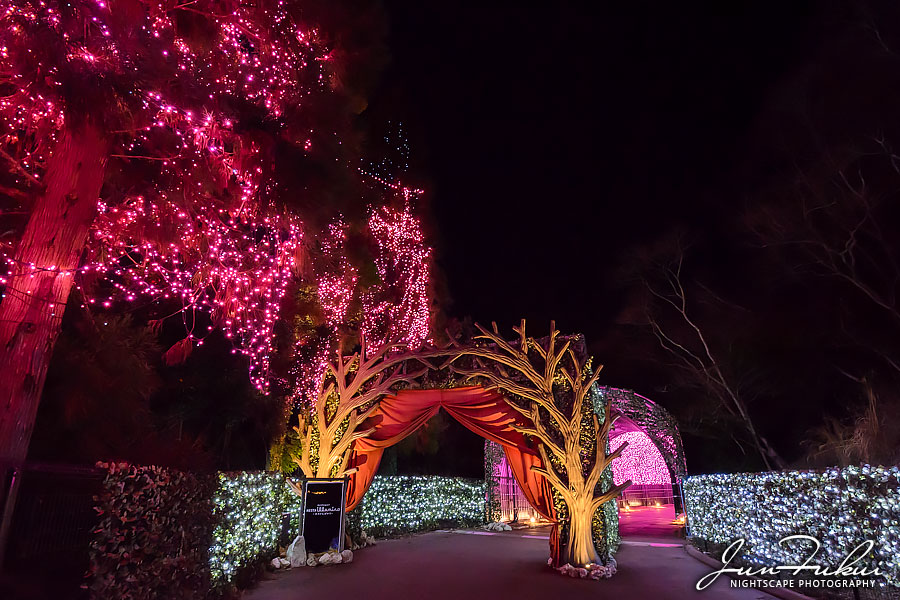 ネスタリゾート神戸 イルミネーション