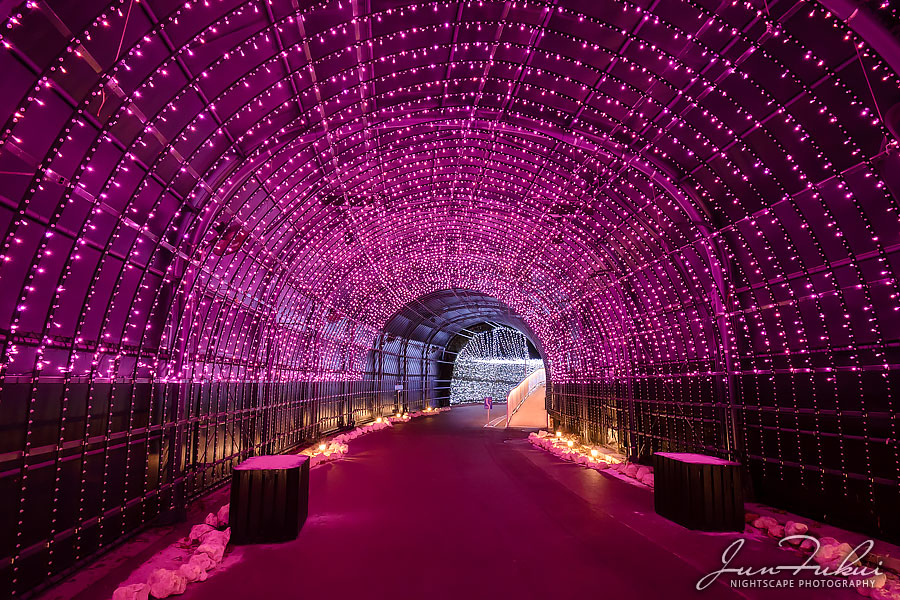 ネスタリゾート神戸 イルミネーション