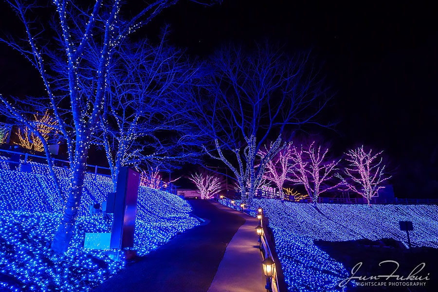 ネスタリゾート神戸 イルミネーション