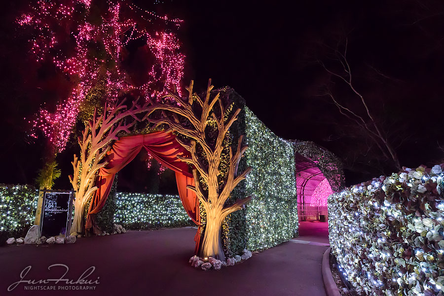 ネスタリゾート神戸 イルミネーション