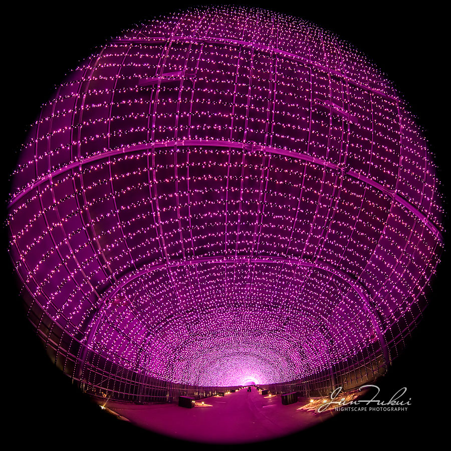 ネスタリゾート神戸 イルミネーション