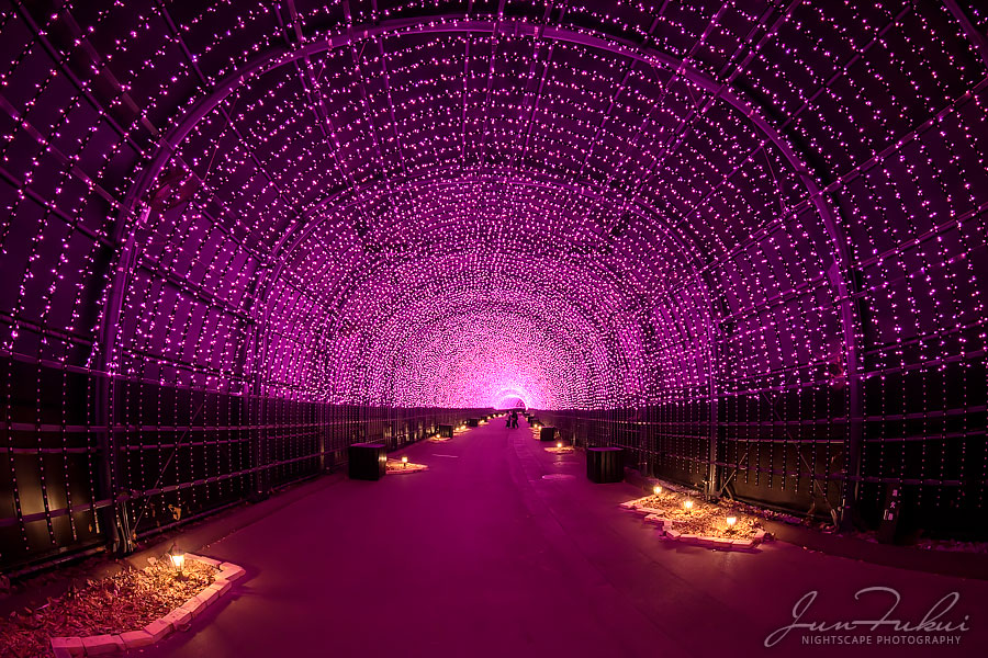 ネスタリゾート神戸 イルミネーション