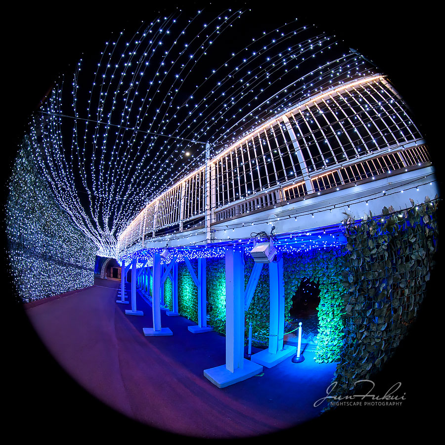 ネスタリゾート神戸 イルミネーション