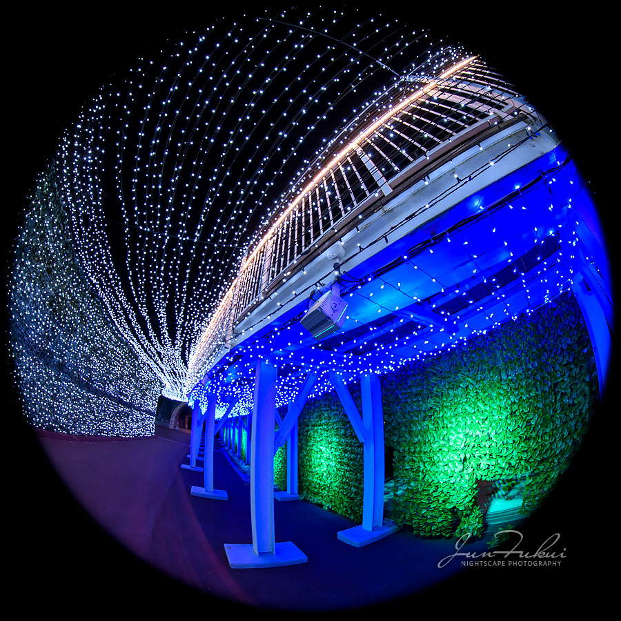 ネスタリゾート神戸 イルミネーション