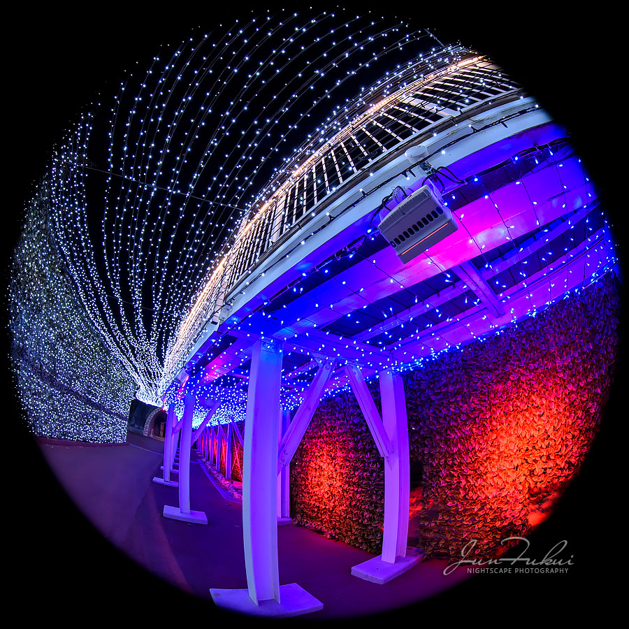 ネスタリゾート神戸 イルミネーション