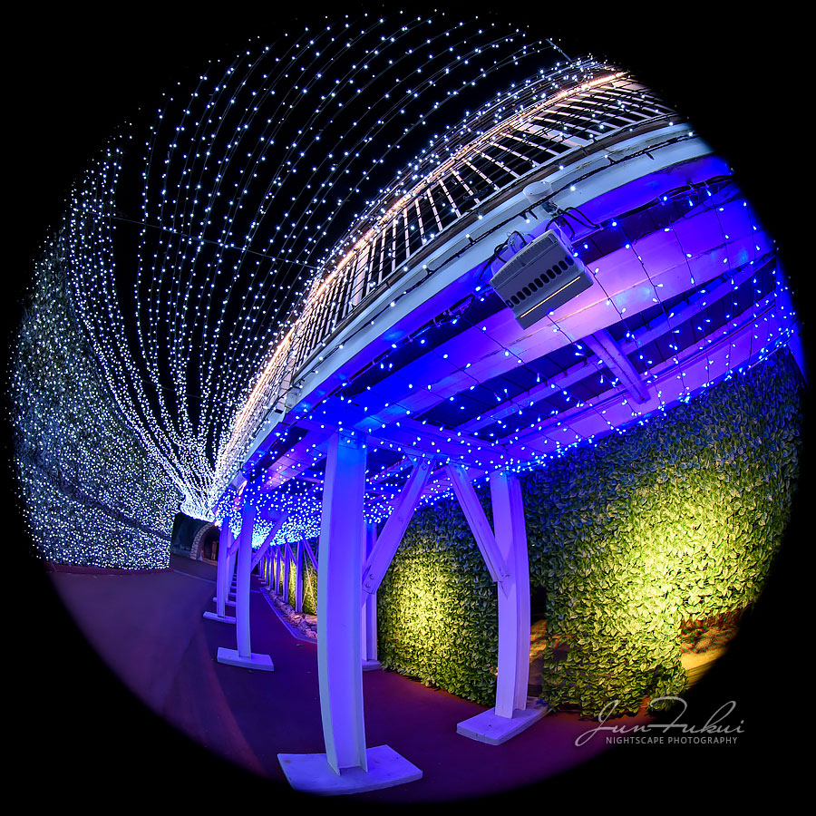 ネスタリゾート神戸 イルミネーション