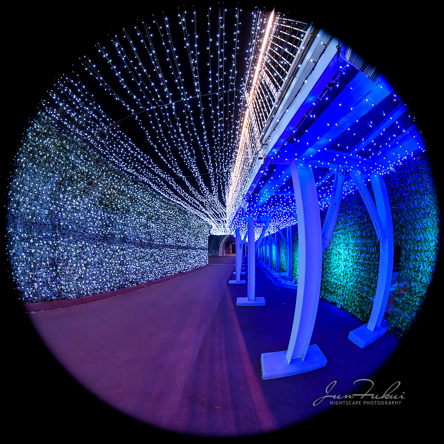 ネスタリゾート神戸 イルミネーション