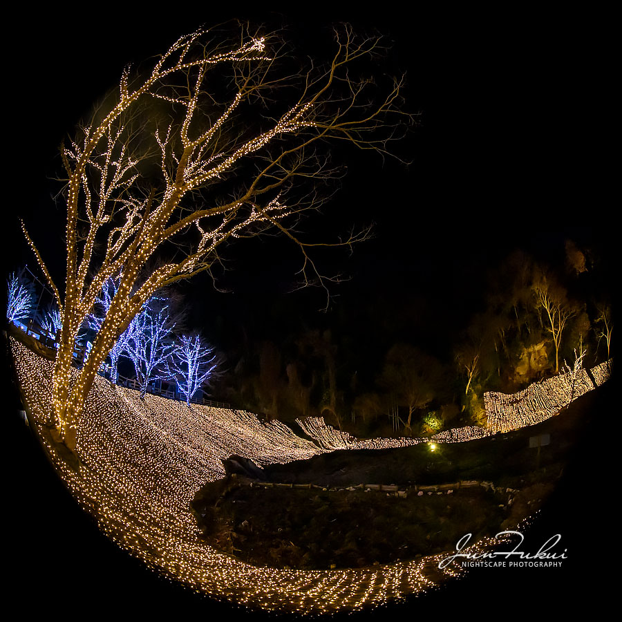 ネスタリゾート神戸 イルミネーション