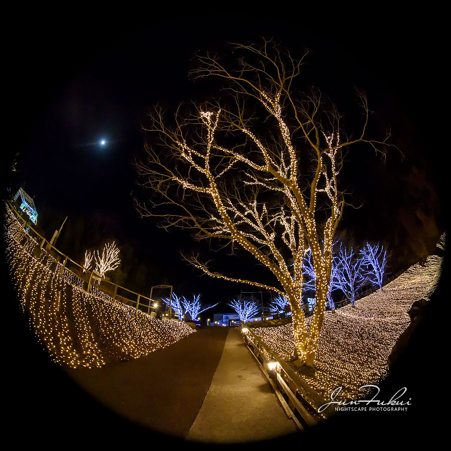 ネスタリゾート神戸 イルミネーション