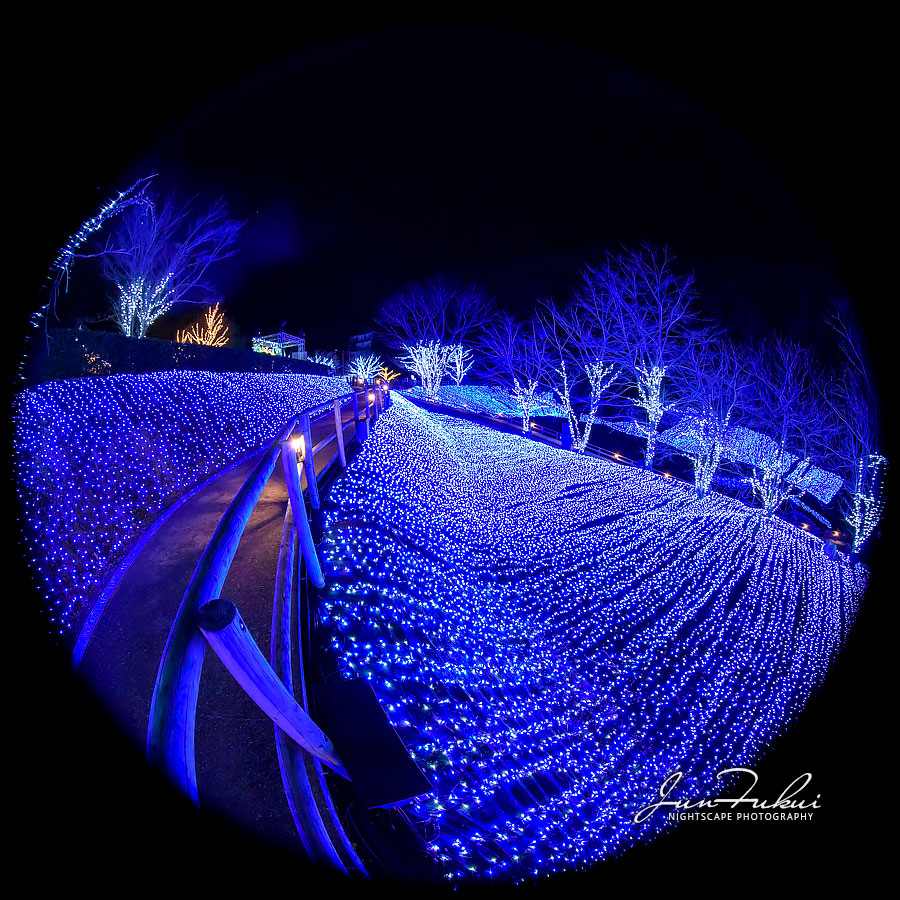 ネスタリゾート神戸 イルミネーション