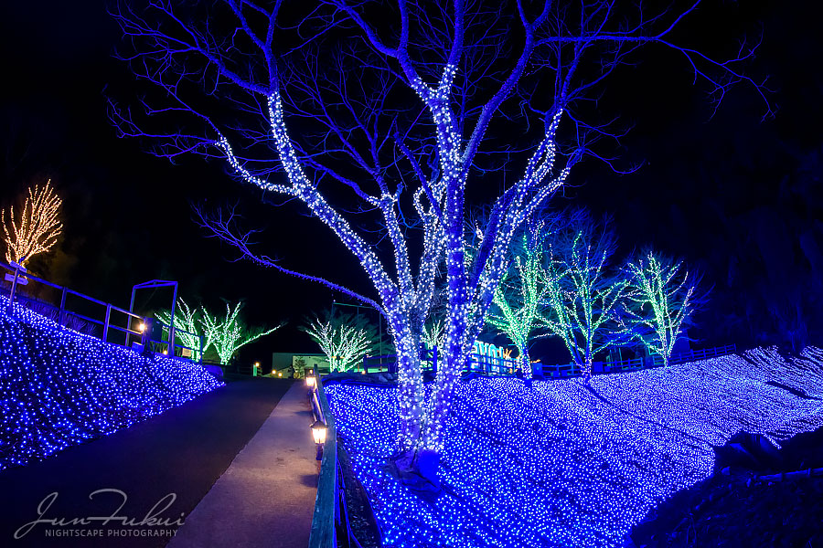 ネスタリゾート神戸 イルミネーション