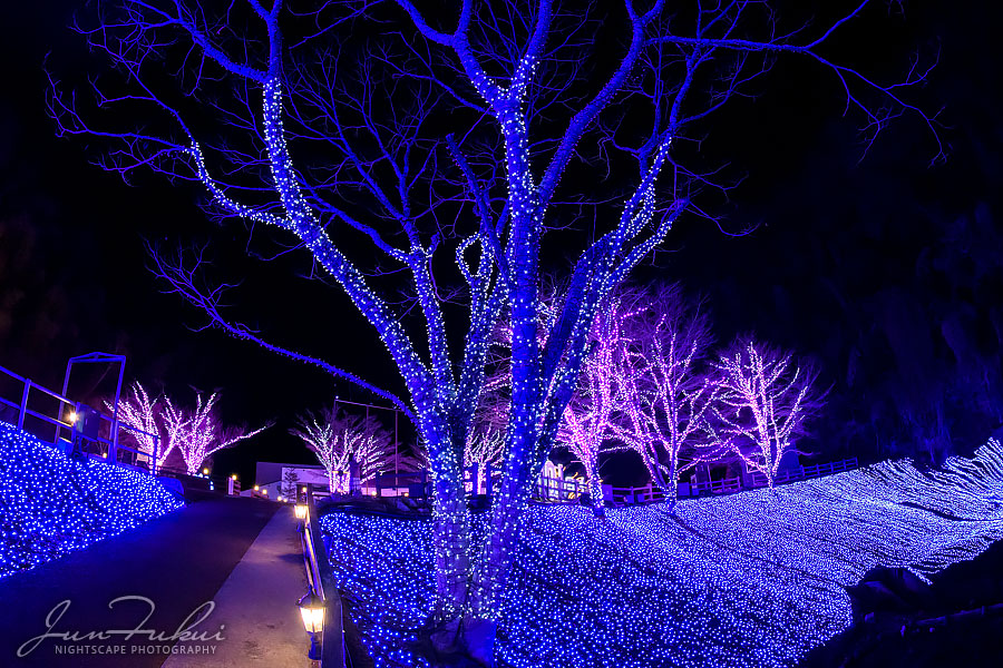 ネスタリゾート神戸 イルミネーション