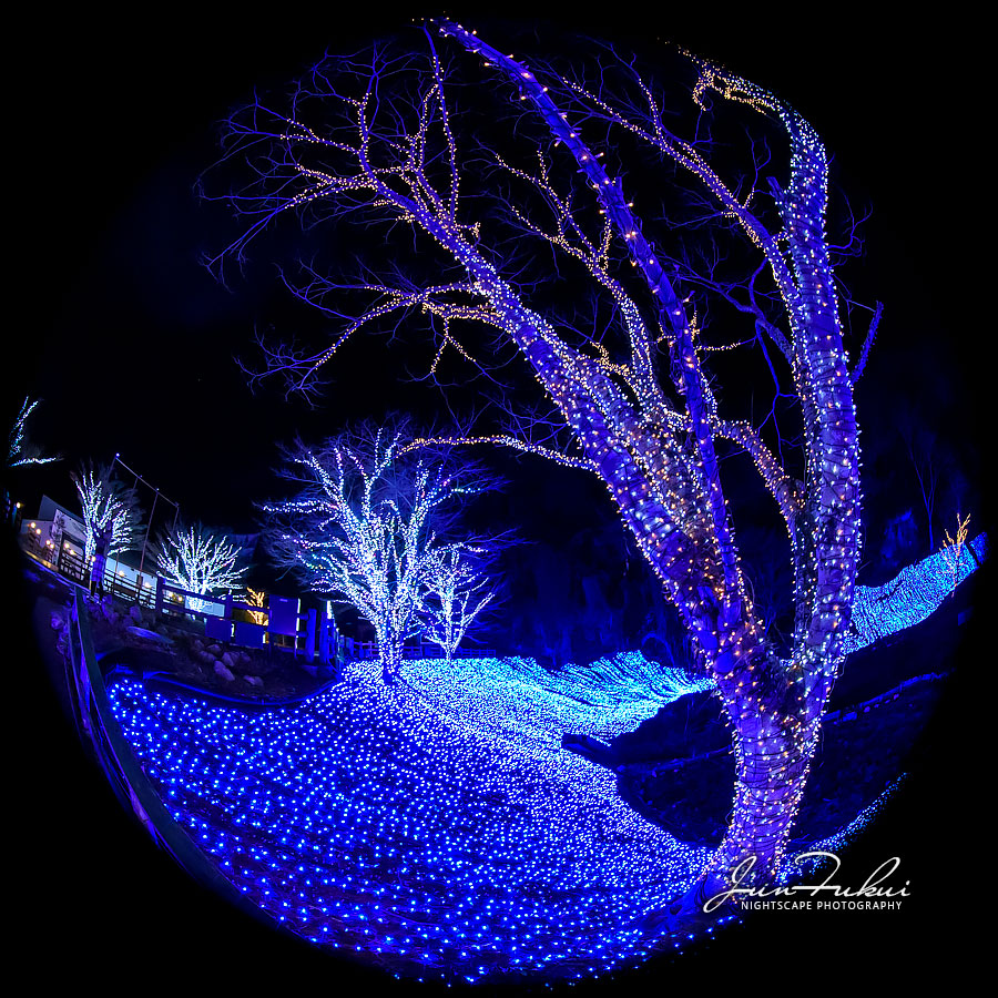 ネスタリゾート神戸 イルミネーション