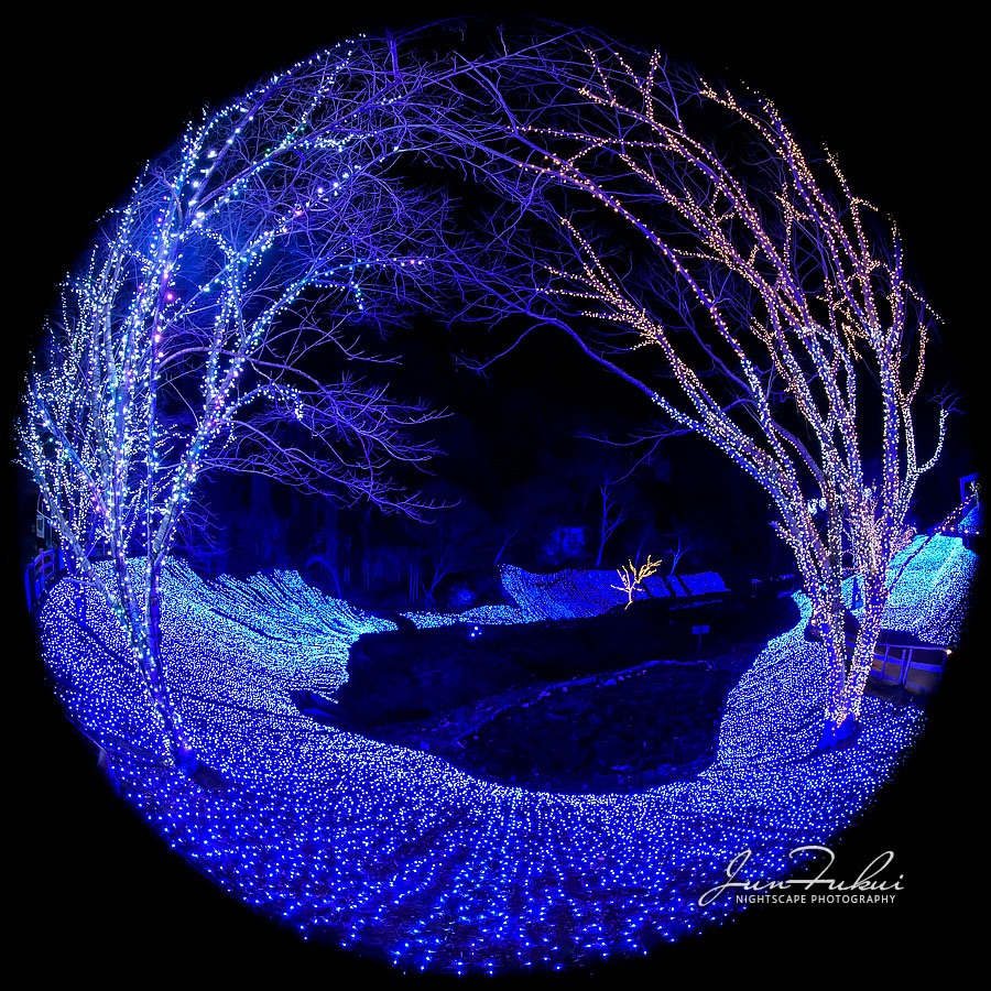 ネスタリゾート神戸 イルミネーション