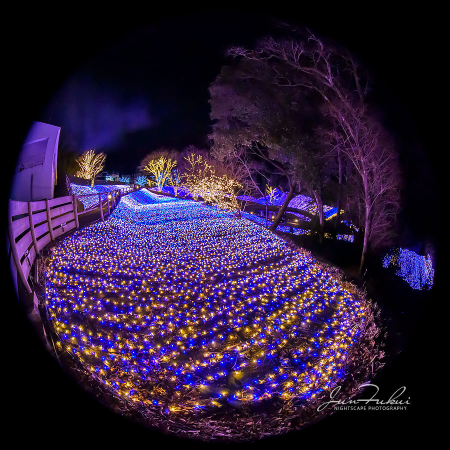 ネスタリゾート神戸 イルミネーション