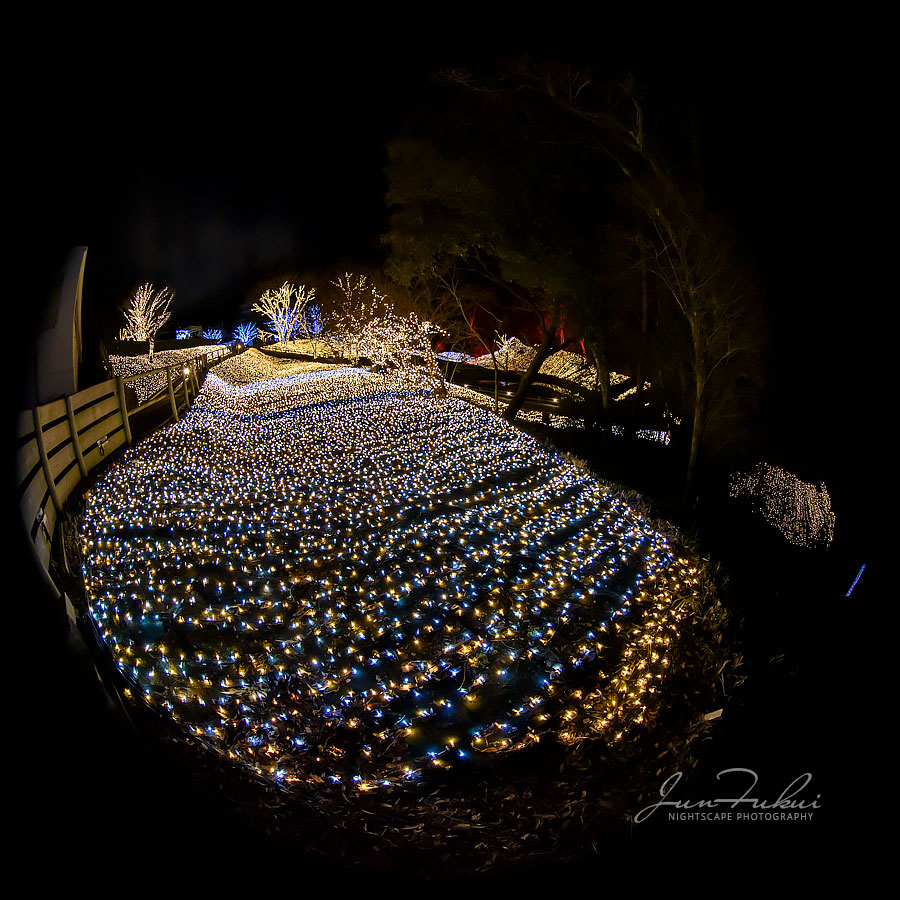 ネスタリゾート神戸 イルミネーション